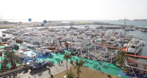 DIBS Shereen Shabnam